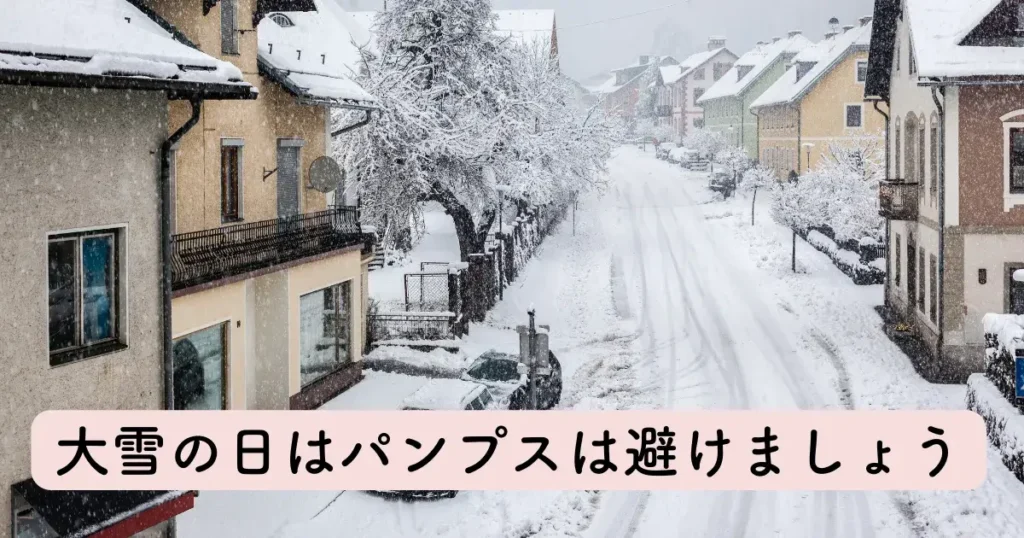 大雪の日はパンプスを避ける