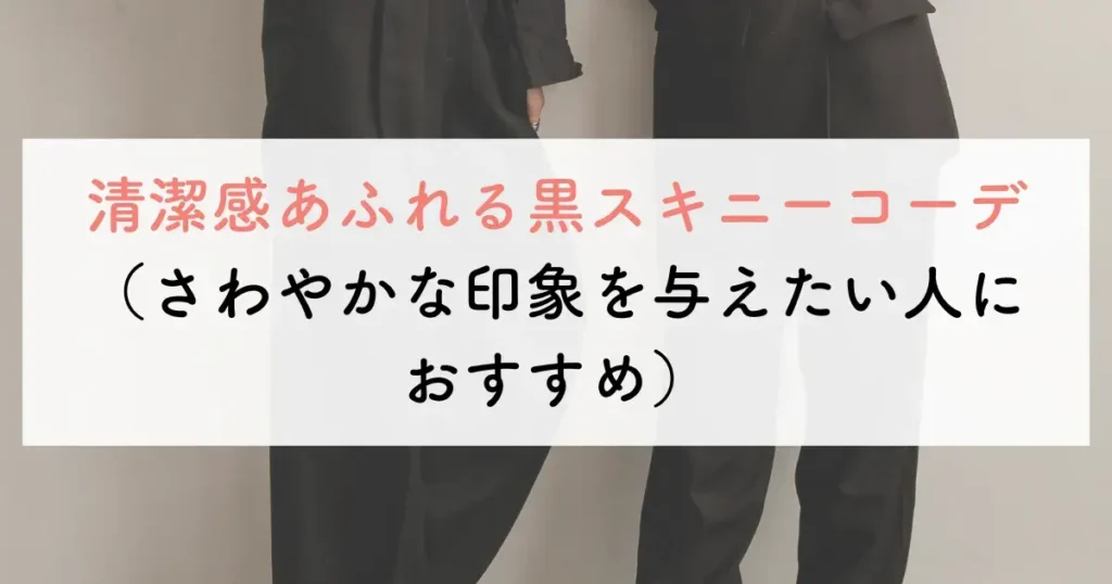 清潔感あふれる黒スキニーコーデ(さわやかな印象を与えたい人におすすめ)