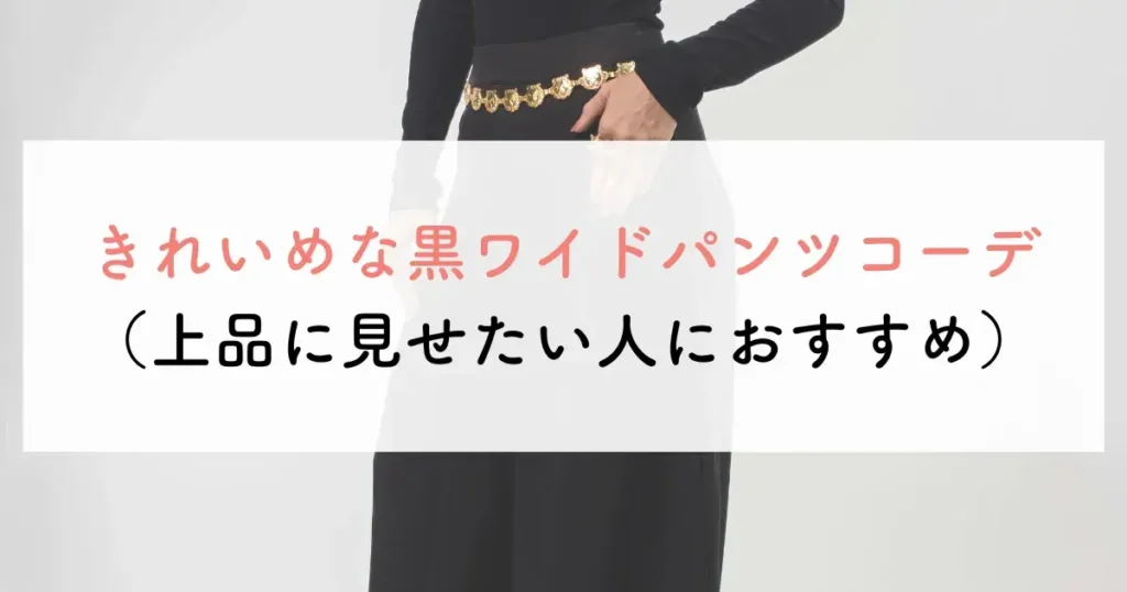 きれいめな黒ワイドパンツコーデ(上品に見せたい人におすすめ)